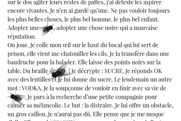 Revue Lichen - Parution d'une poésie graphique - La Mouche