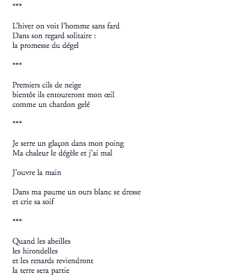 Nous, avec le poème comme seul courage - Climatique page 2
