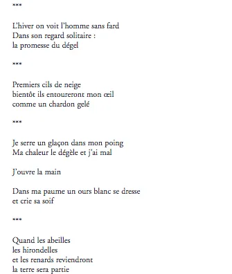 Nous, avec le poème comme seul courage - Climatique page 2